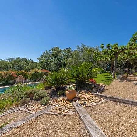 Les Muriers By Interhome Villa Cogolin